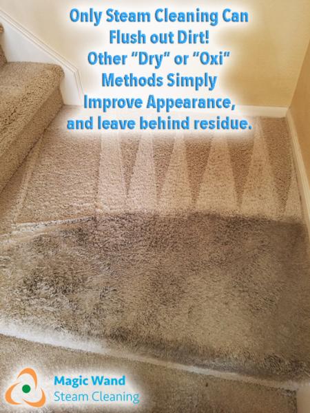 Magic Wand Steam Cleaning