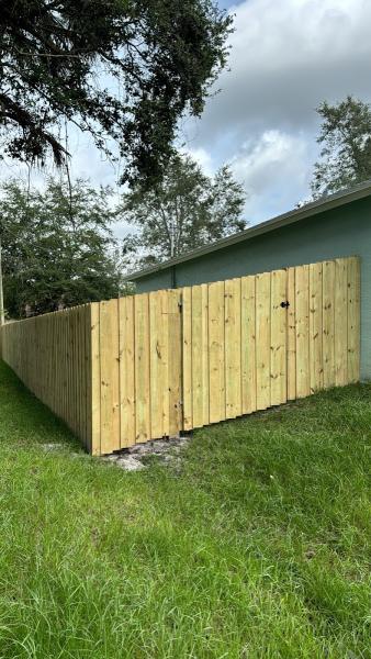 Fenced In