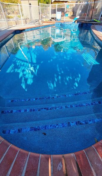 Ace Pool Repair & Replaster