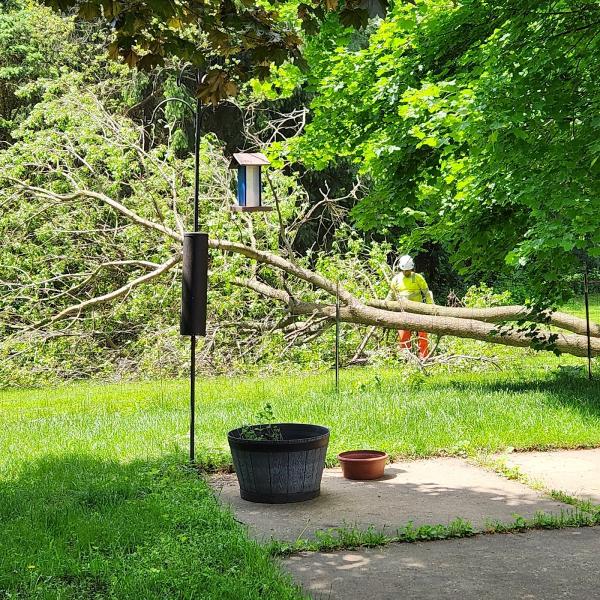 Double E Tree Service