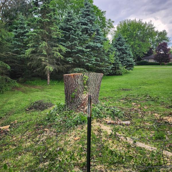 Double E Tree Service