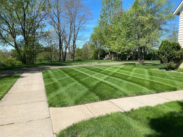 Ty's Lawn Care