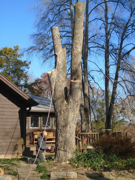 Tree Care Company