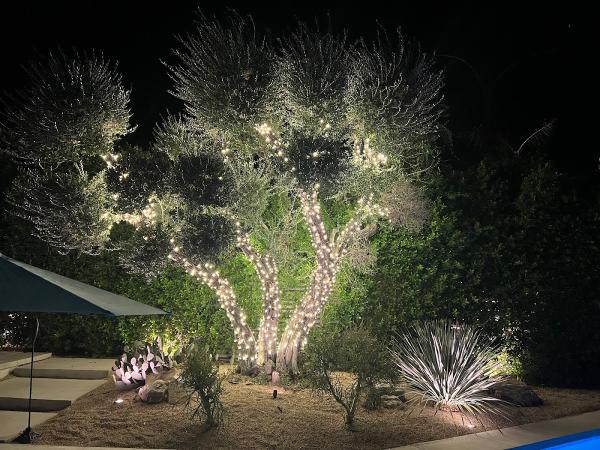 Innovative Outdoor Lighting and Audio