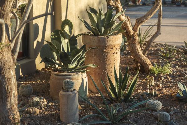 Wiseman and Gale Interiors
