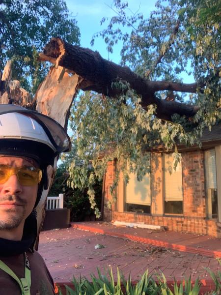 Treeple Tree Service
