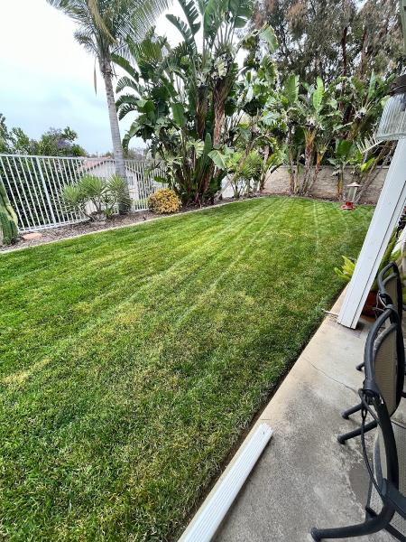 Clean Cut Lawn Care and Landscaping