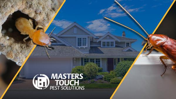 Masters Touch Pest Solutions- A Division