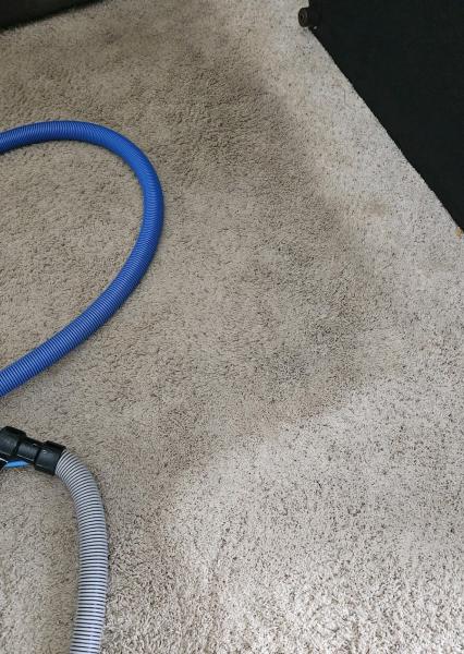 Gemini Carpet Cleaning