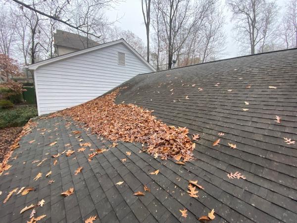 The Roof Company