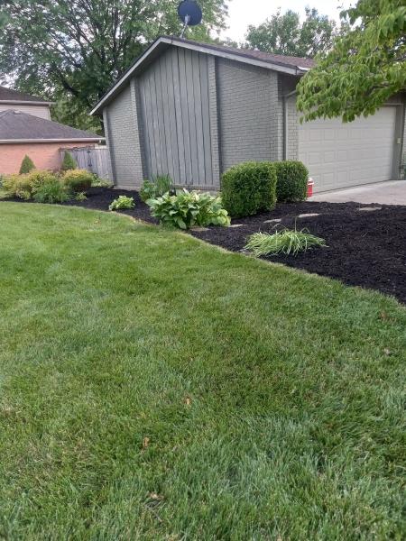 Ozzy's Pressure Washing LLC