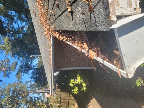 Stokes Mosquito and Outdoor Pest Service