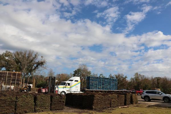 JFC Landscaping & SOD LLC