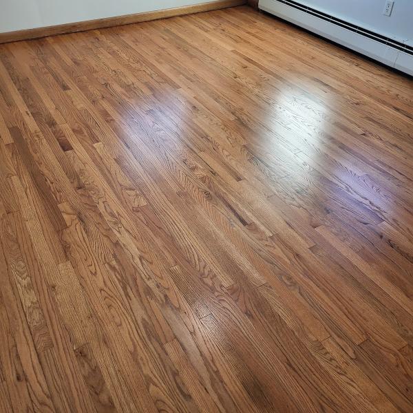 Rapid Revival Hardwood