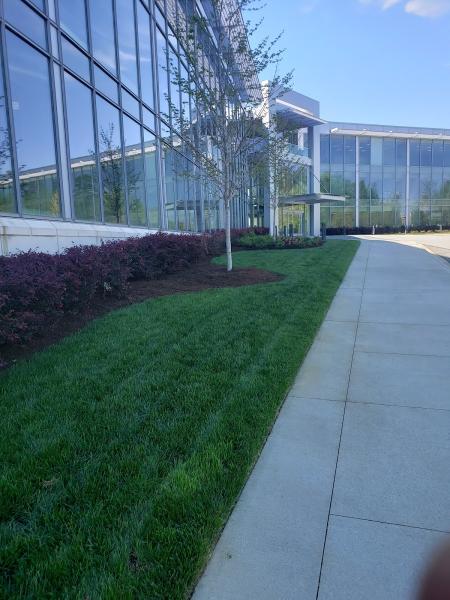 Charlotte Landscaping Services LLC