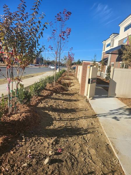 Charlotte Landscaping Services LLC