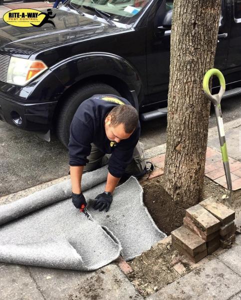 Rite-a-Way Pest Control