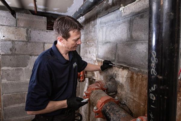 Mold Inspection Sciences