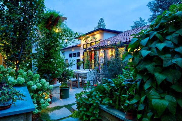 Ivy Street Design