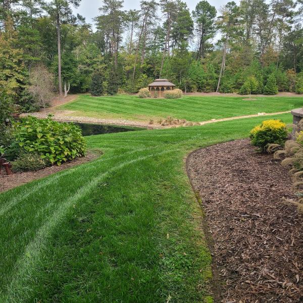 Apple Tree Lawn Care & Landscaping