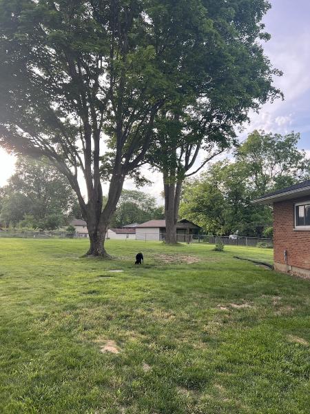 Guyton Tree Care LLC
