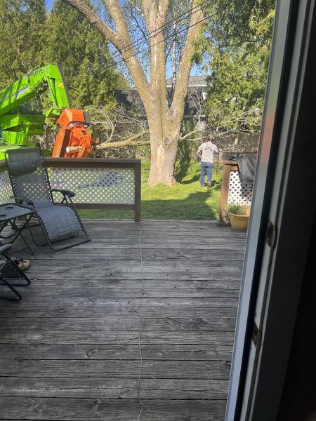 Tree-b-Gone