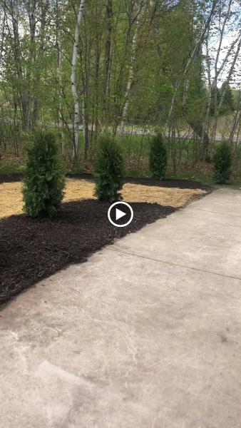 Platinum Lawn and Landscaping