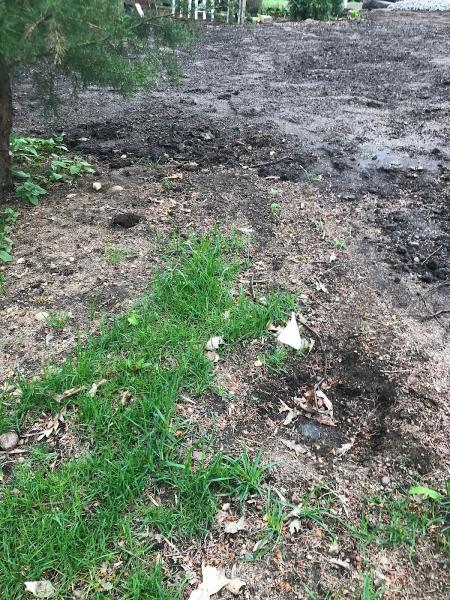 Platinum Lawn and Landscaping