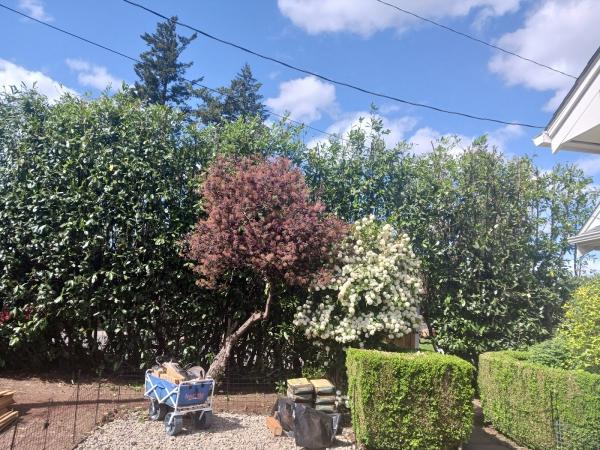 Garcia Yard Maintenance LLC