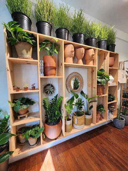 Oasis Plant Shop