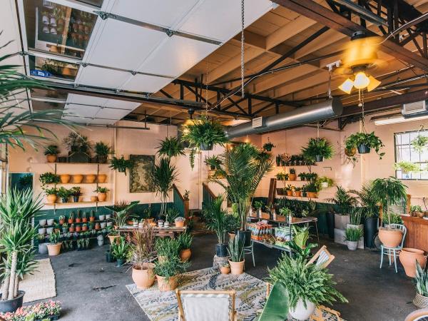 Oasis Plant Shop