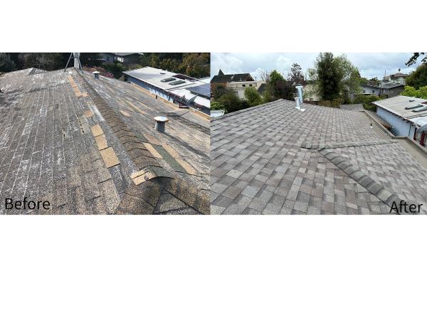 Kita Painting Roofing