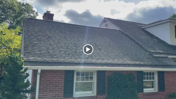 Sparkling Image Roof & Exterior Cleaning
