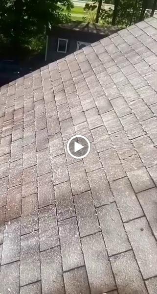 Professional Power Washing