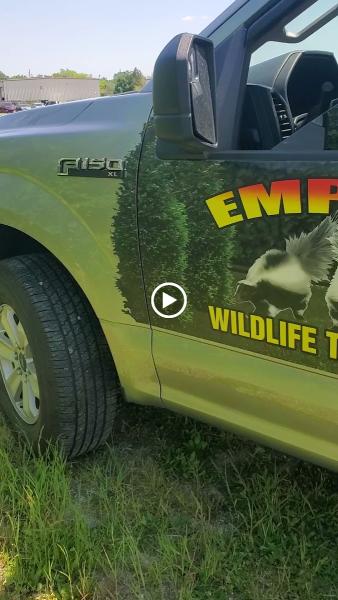 Empire Wildlife Trapping