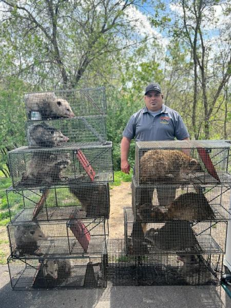 Empire Wildlife Trapping