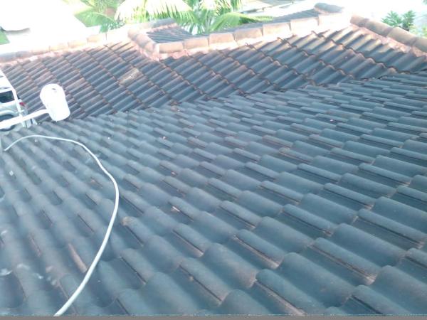 Community Maintenance Roof Cleaning & Pressure Washing