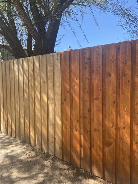 Premier Staining Services