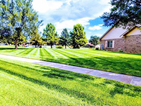 Sallee Lawn Care