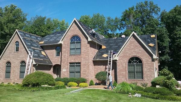 Moss Roofing