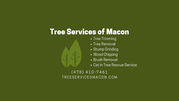 Tree Services