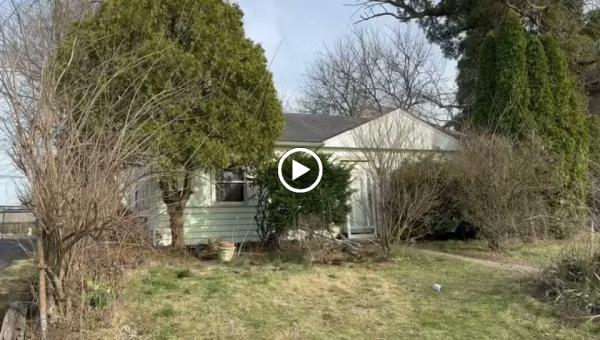 Lemus Landscaping LLC