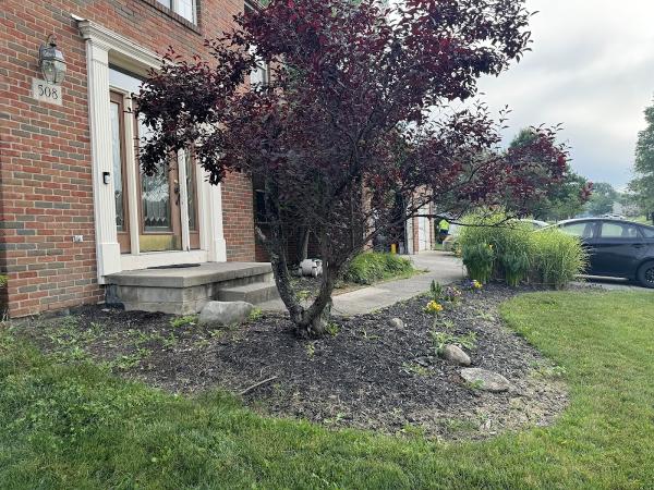 Lemus Landscaping LLC