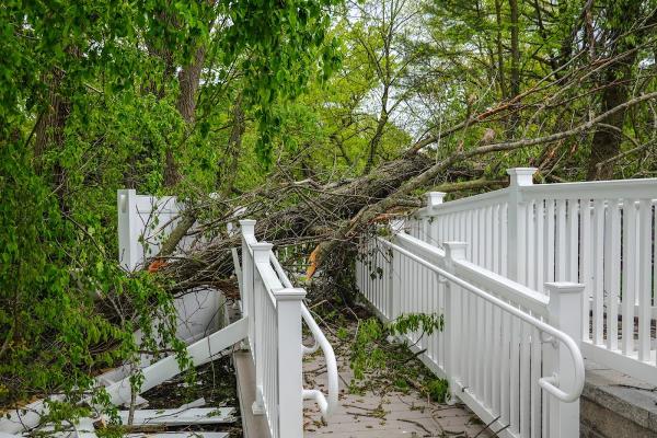BX Tree Service
