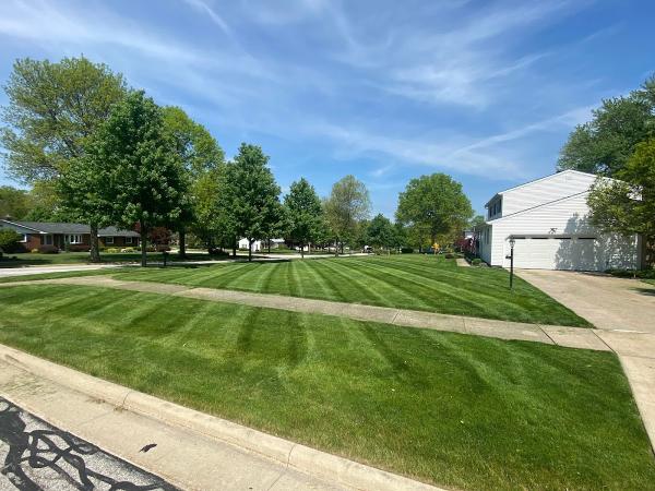 Mattco Landscapes