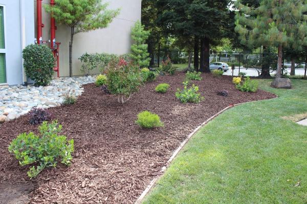 Cuttingedge Landscape & Tree Inc.