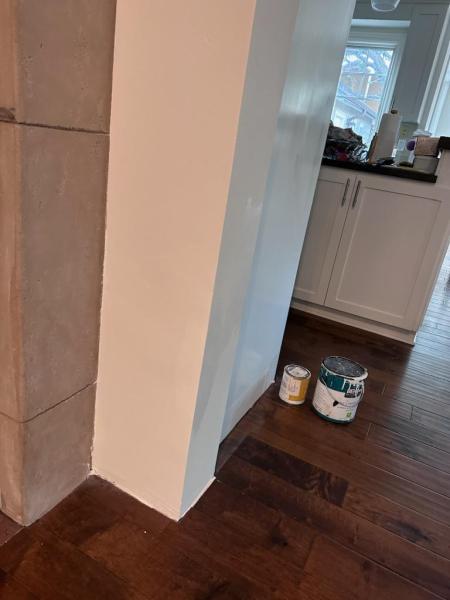 Santa Rita Drywall Repair