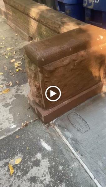 Sidewalk Repair Contractors Brooklyn