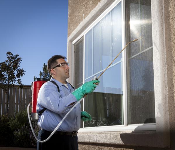 Cape Cod Pest Pros