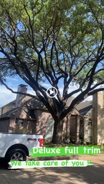 R&G Tree Trimming